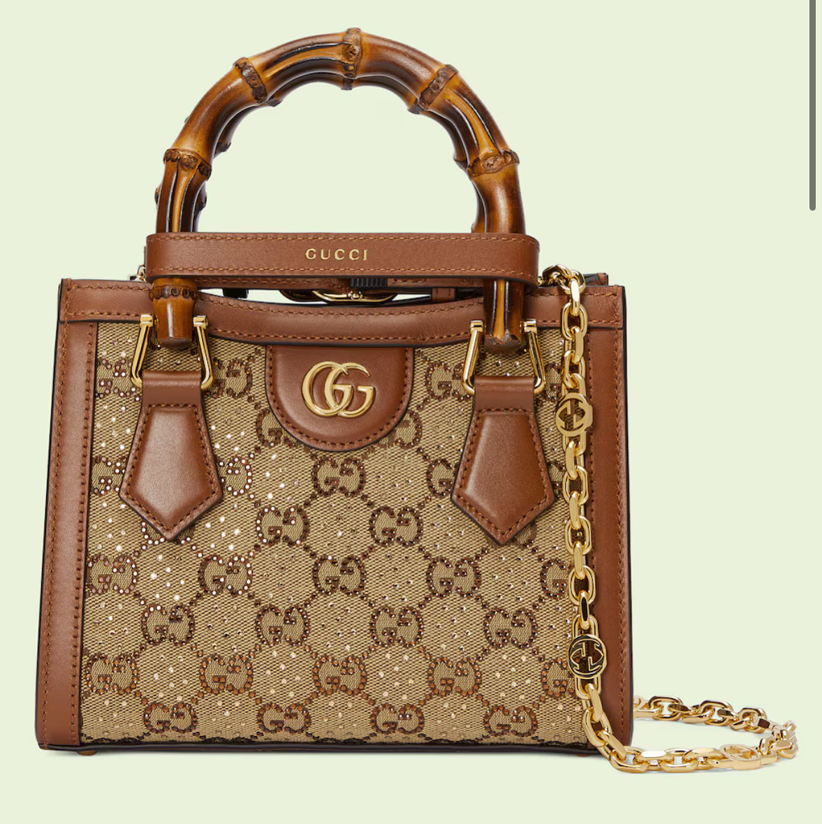 Gucci Bag with Stone blink