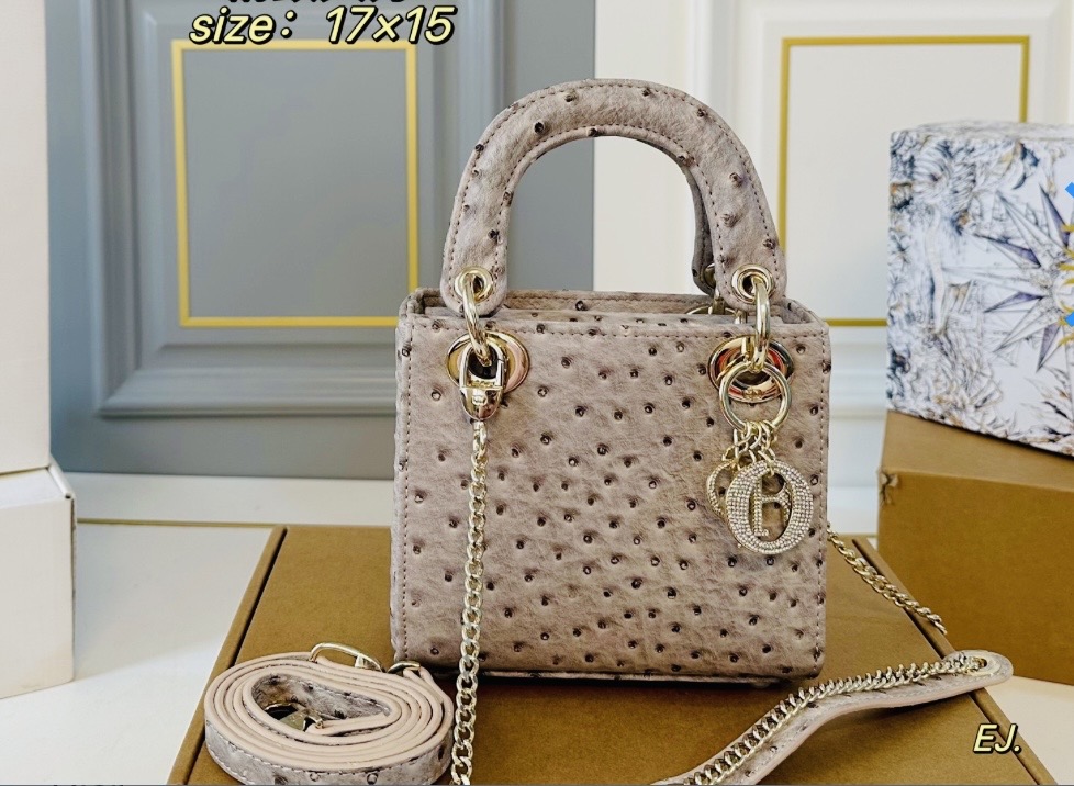 Lady Dior Bag