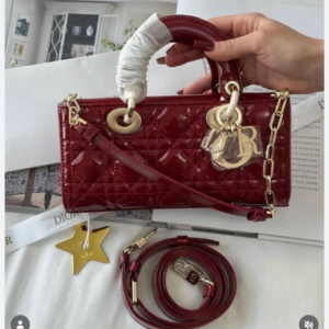 Lady D Burgundy Bag