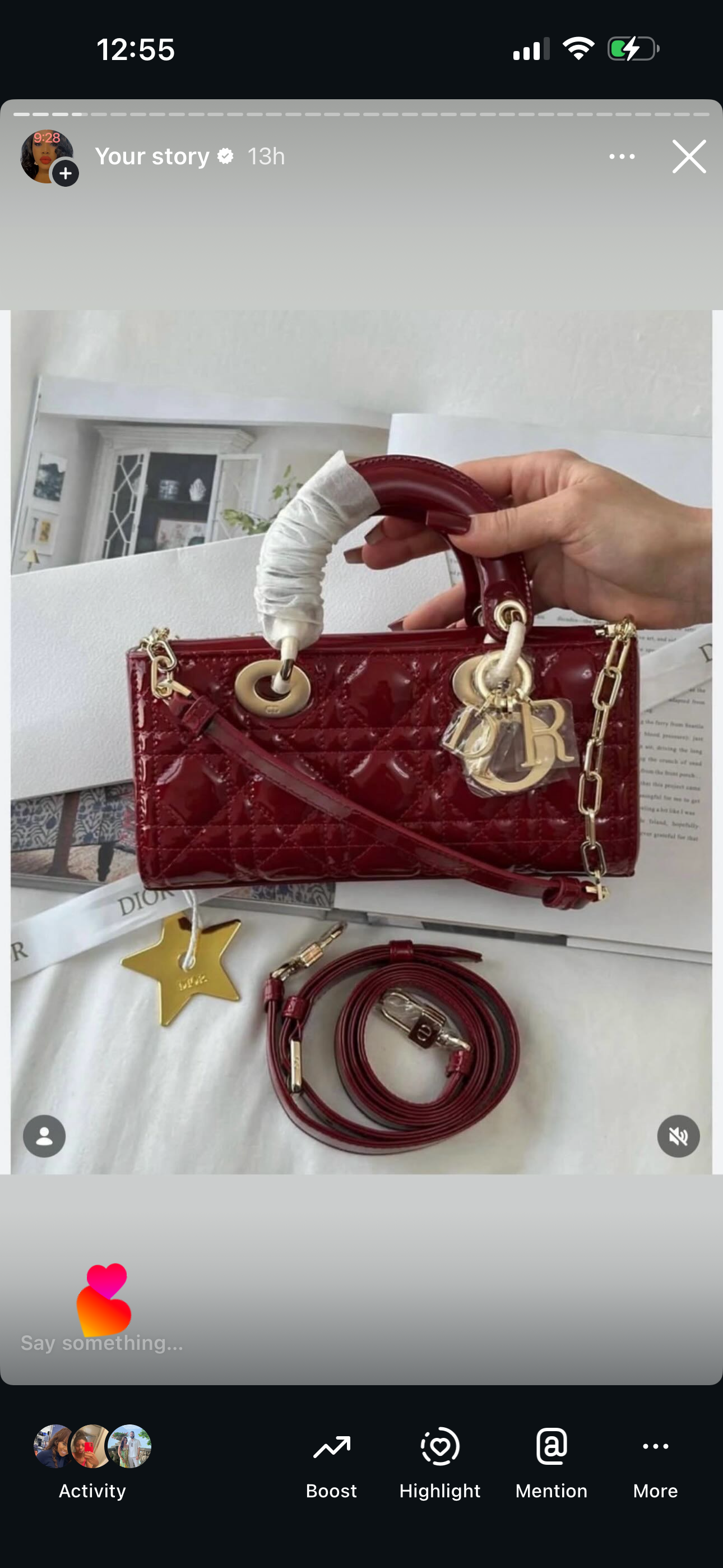 Lady D Burgundy Bag