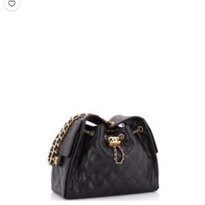 C Small Hobo Black Bag