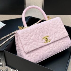 C Pink Bag